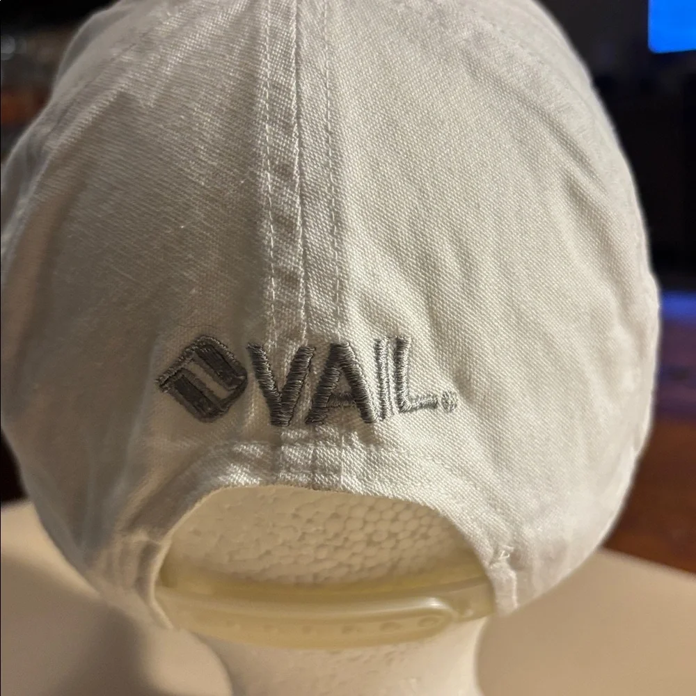 The North Face Classic Light Gray Hat